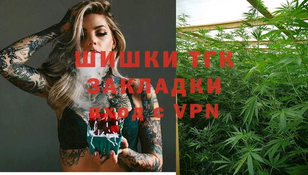 МДПВ Липки