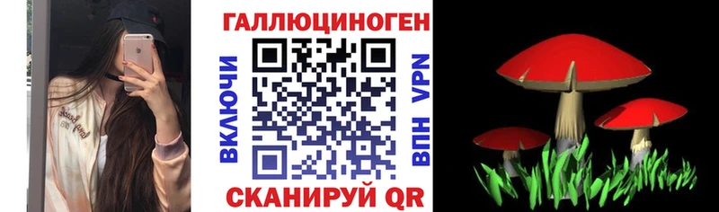 Галлюциногенные грибы MAGIC MUSHROOMS  kraken ONION  Южа  продажа наркотиков 